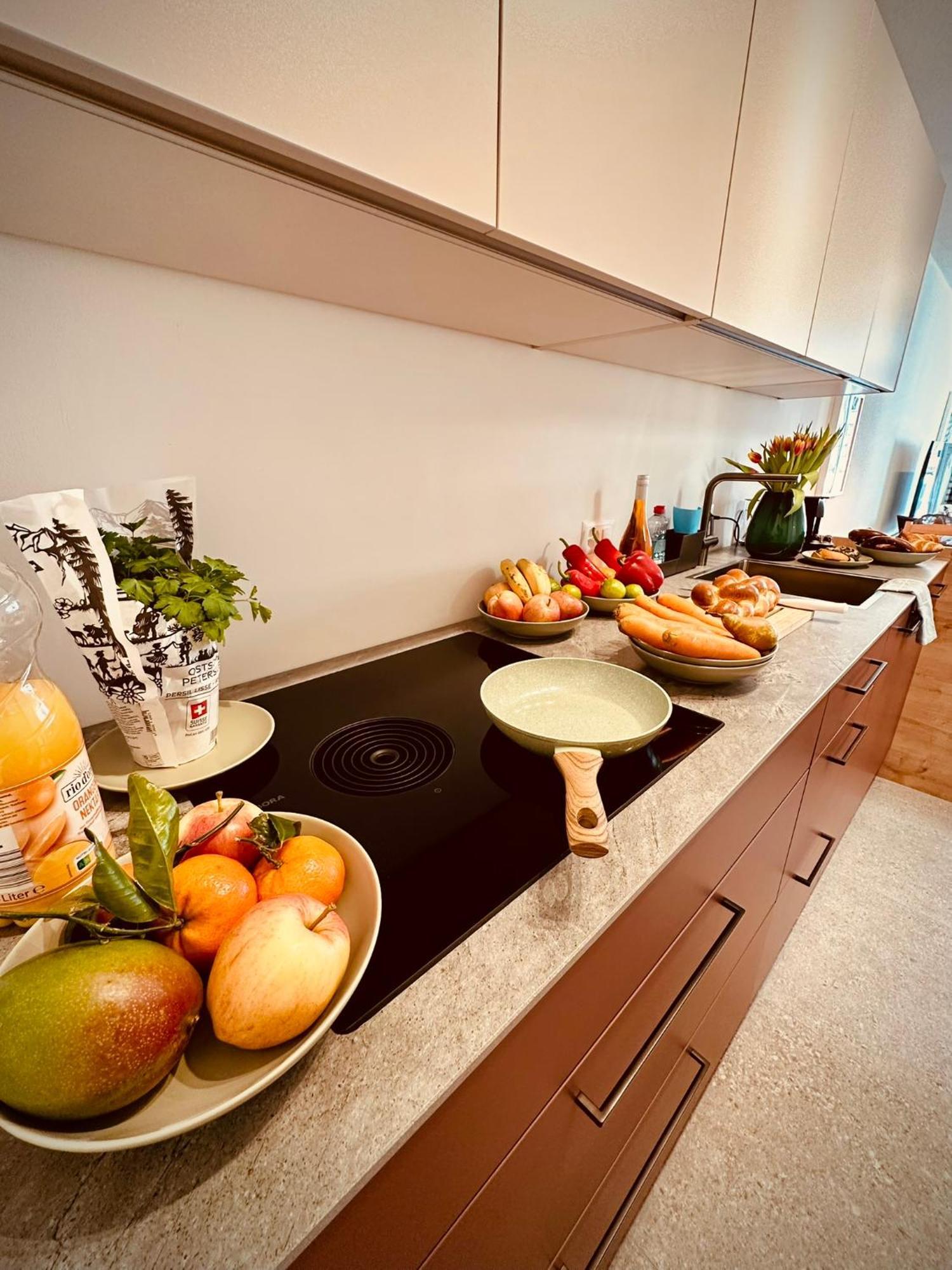 New With Sunny Terrace & Air Condition Apartamento Zurique